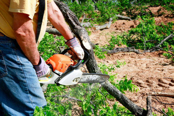 Mulching Services in Monmouth Junction, NJ